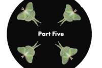 Chosen Part Five
