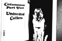 Picture of a wary dog sitting in an open doorway.