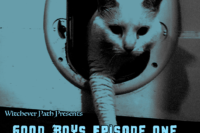 Rico, the cat, coming through his pet door